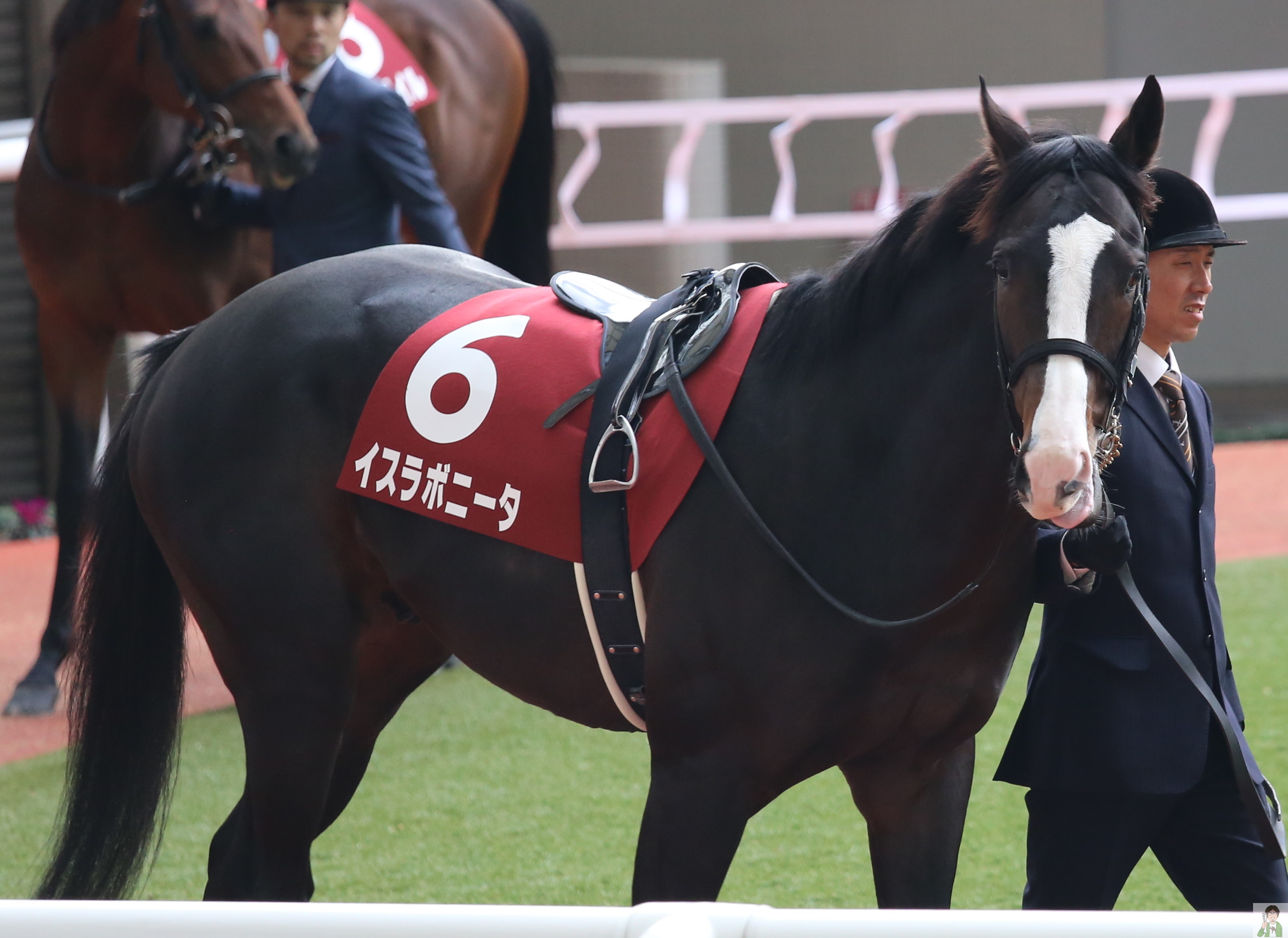 完全無料 インターネットを使った競馬予想方法を紹介 馬キチ競馬